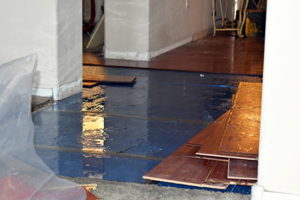 Professional Basement Water Removal technician working in Genoa, IL
